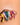 Phone strap